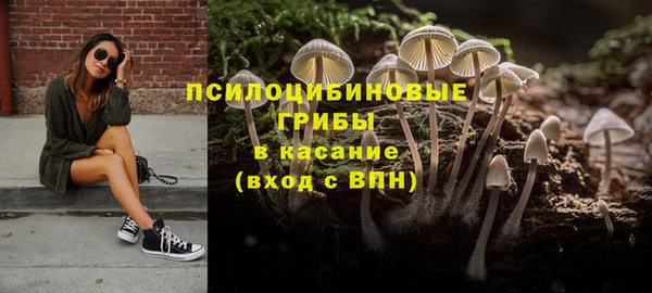 ПСИЛОЦИБИНОВЫЕ ГРИБЫ Нягань