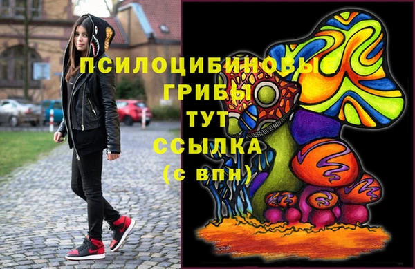 ECSTASY Осинники