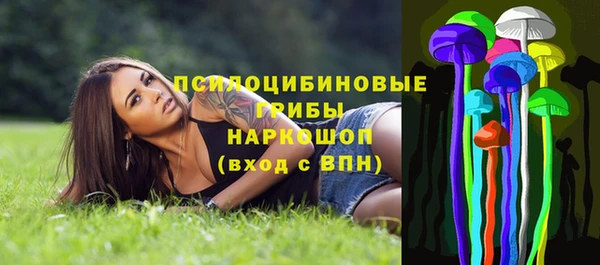 ECSTASY Осинники