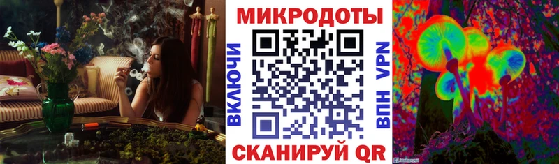 наркота  Абдулино  Псилоцибиновые грибы Cubensis 